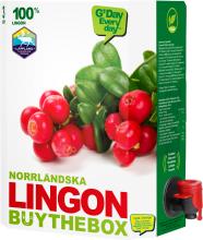 Buy the Box - Norrländsk Lingonjuice