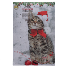 Faunakram - Julkalender Katt